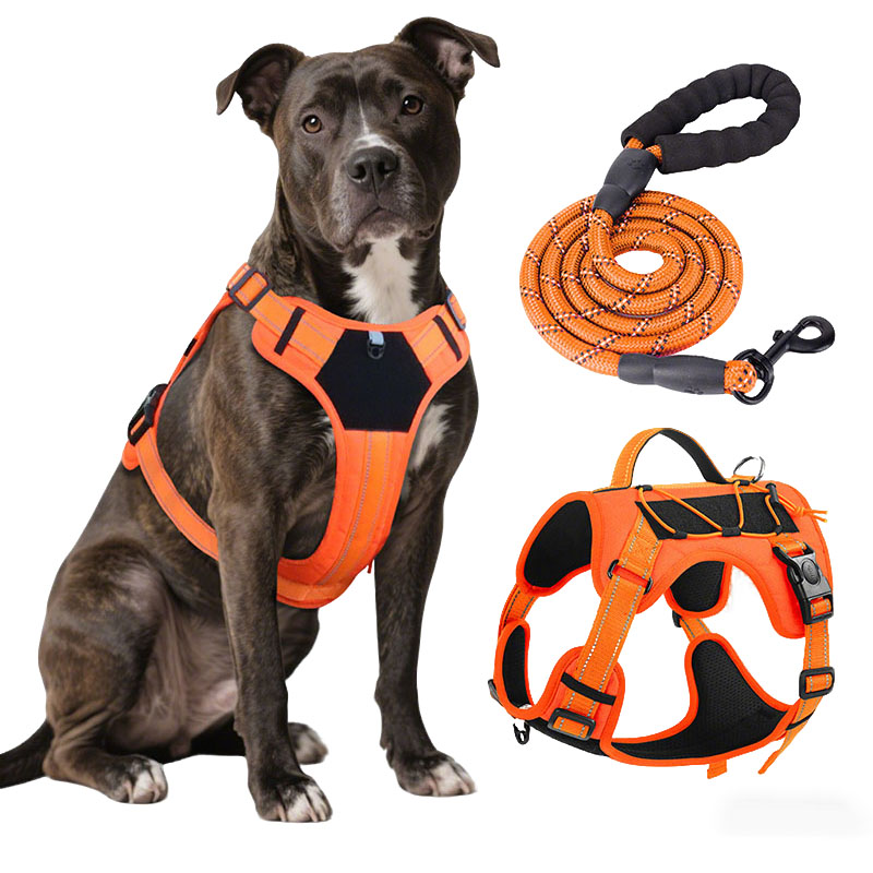 No Pull Dog Harness - Dog Harness and Leash Set for