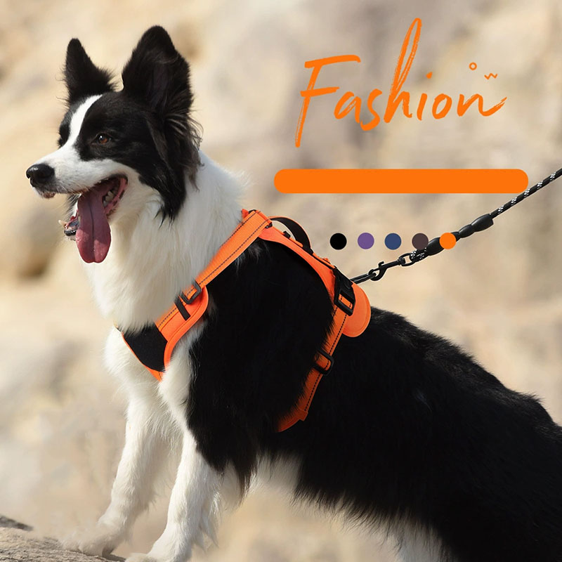 Dog Harness and Leash Set for  - No Pull Dog Harness review and price