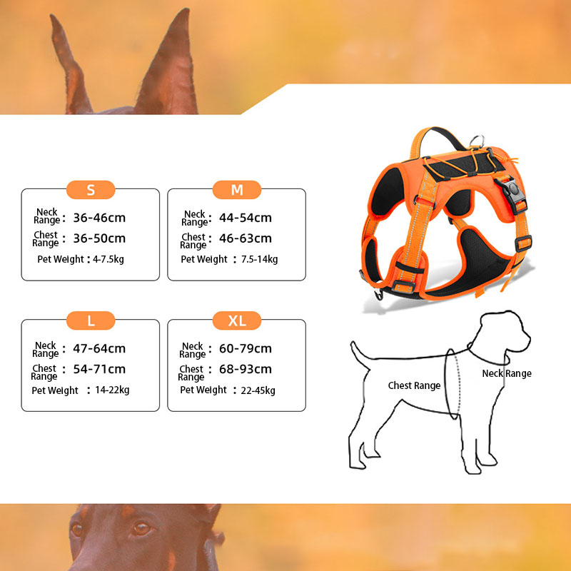 Dog Harness and Leash Set for  - No Pull Dog Harness review and price