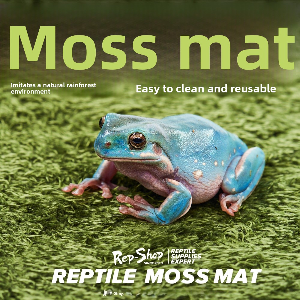 Reptile Shop Mos Carpet Frog P - Pet Supplies Pet Shop review and price