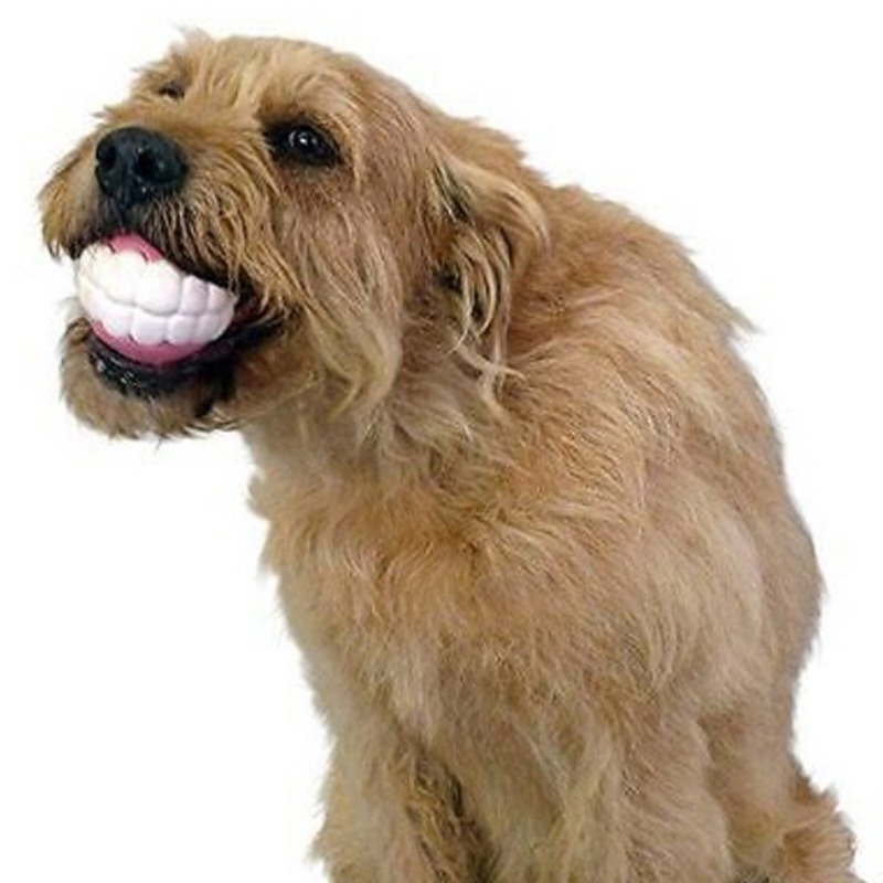 Pet Dog Puppy Ball Teeth Silic - Dog Muzzle Silicone review and price
