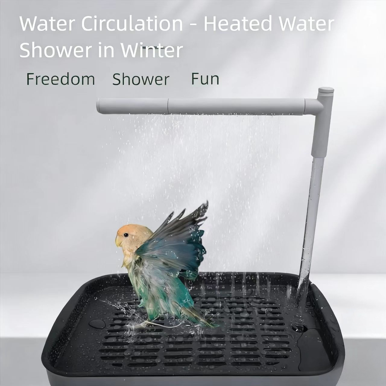 2026Bird Supplies Automatic Pa - Pet Water Fountain review and price