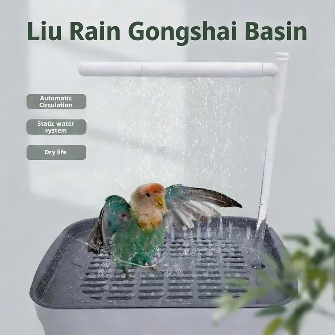 2026Bird Supplies Automatic Pa - Pet Water Fountain review and price