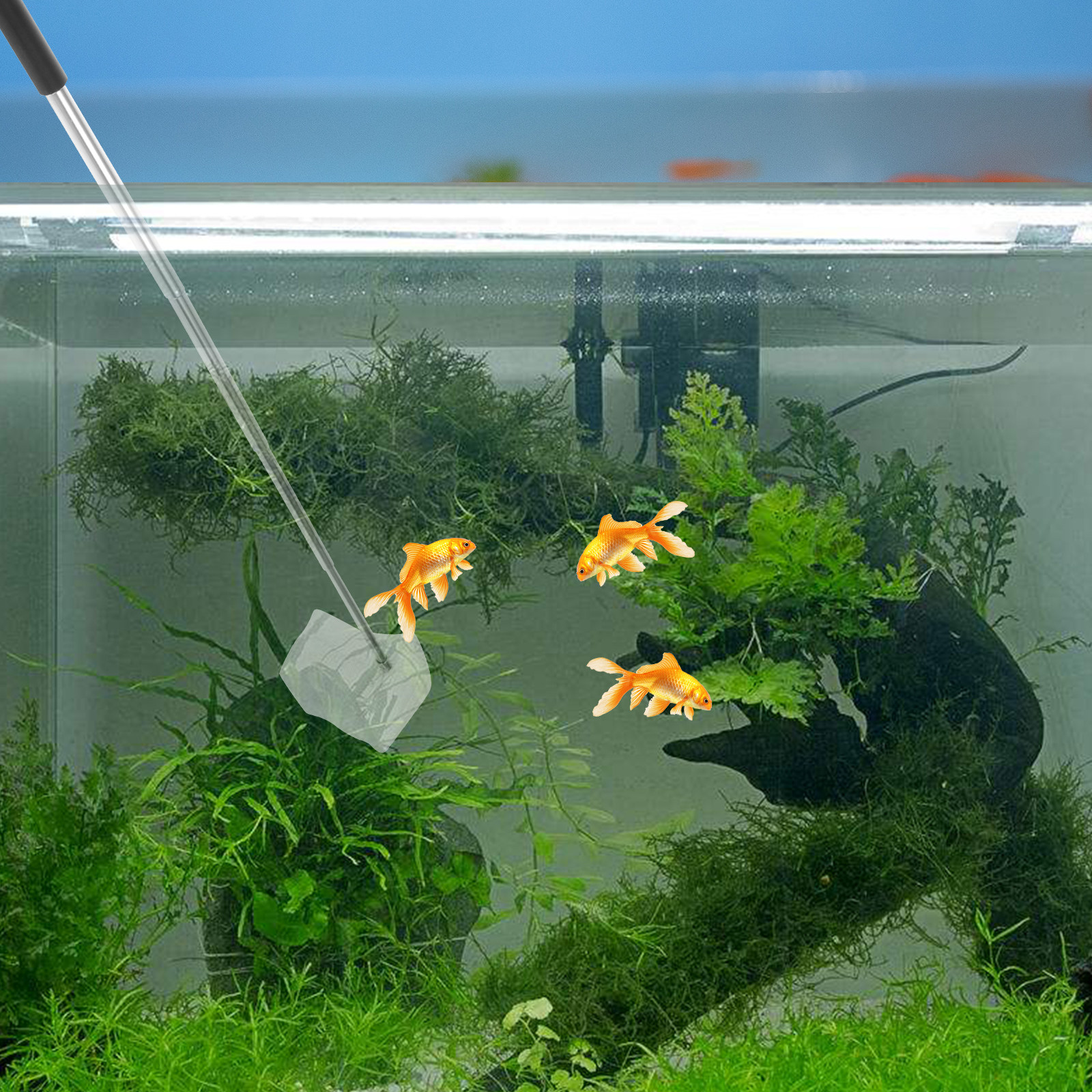 Durable Extendable Shrimp Net  - Aquarium Fish Tank review and price