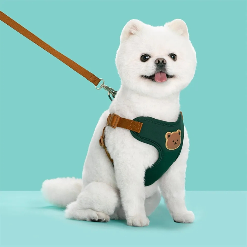 Creative Cute Pet Harness Leas - No Pull Dog Harness review and price