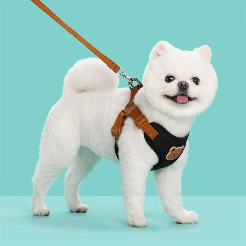 Creative Cute Pet Harness Leas - No Pull Dog Harness review and price