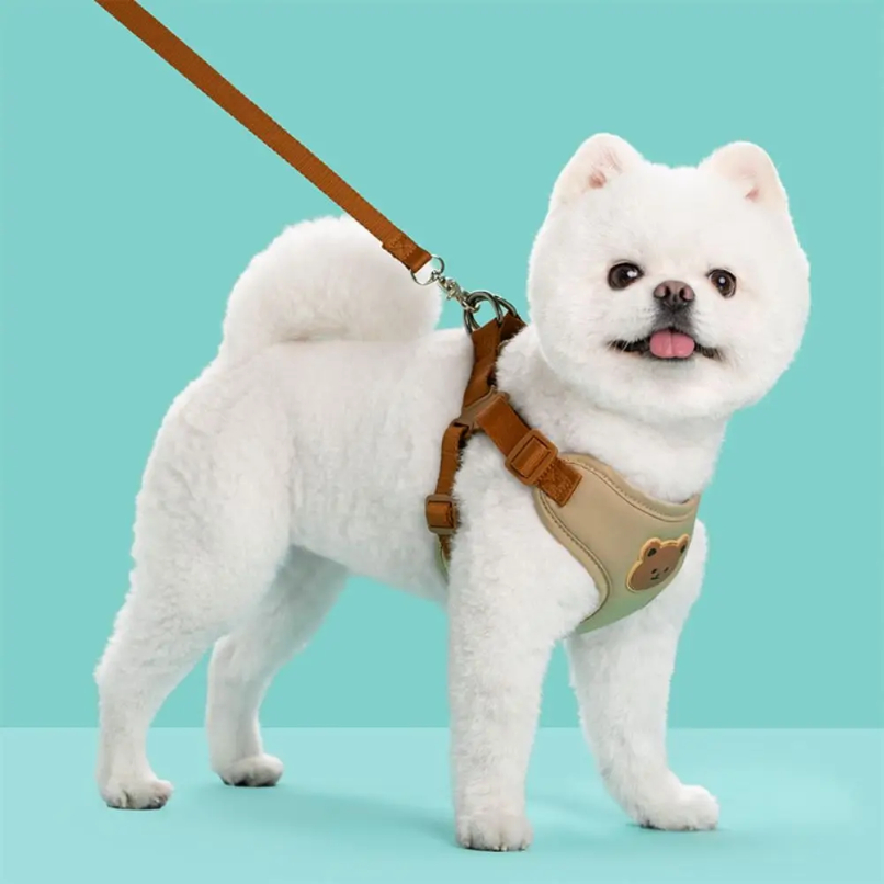 Creative Cute Pet Harness Leas - No Pull Dog Harness review and price