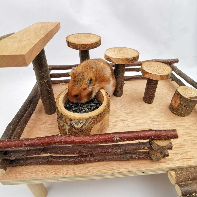 Wooden Bowl for Small Pet Hams - Pet Supplies Is Food review and price