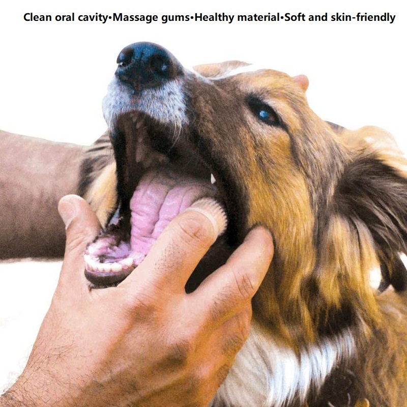 3PCS Dental Cleaning Dog Teeth - Dog Muzzle Silicone review and price