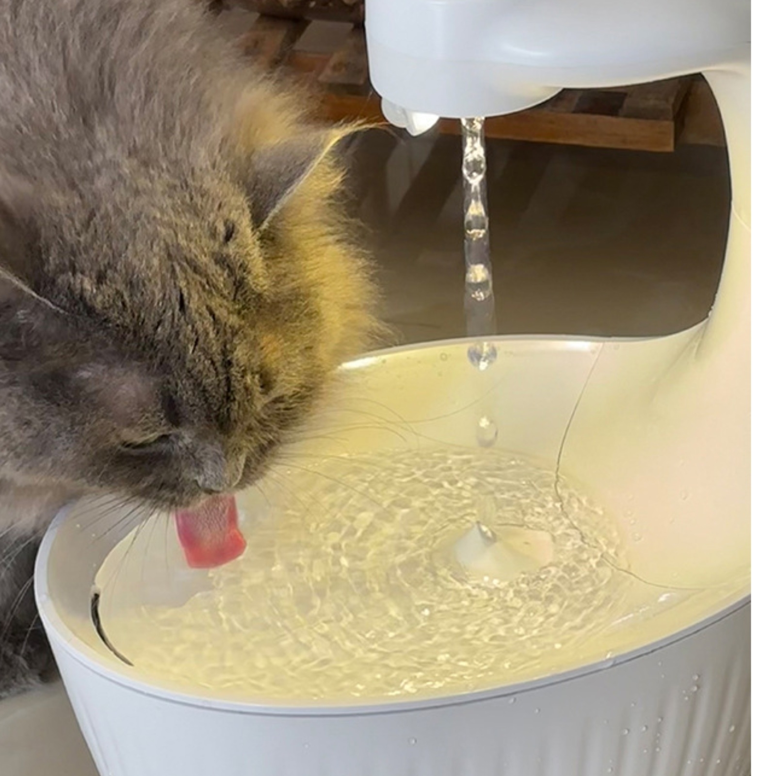 Wireless Feline Water Fountain - Pet Water Fountain review and price