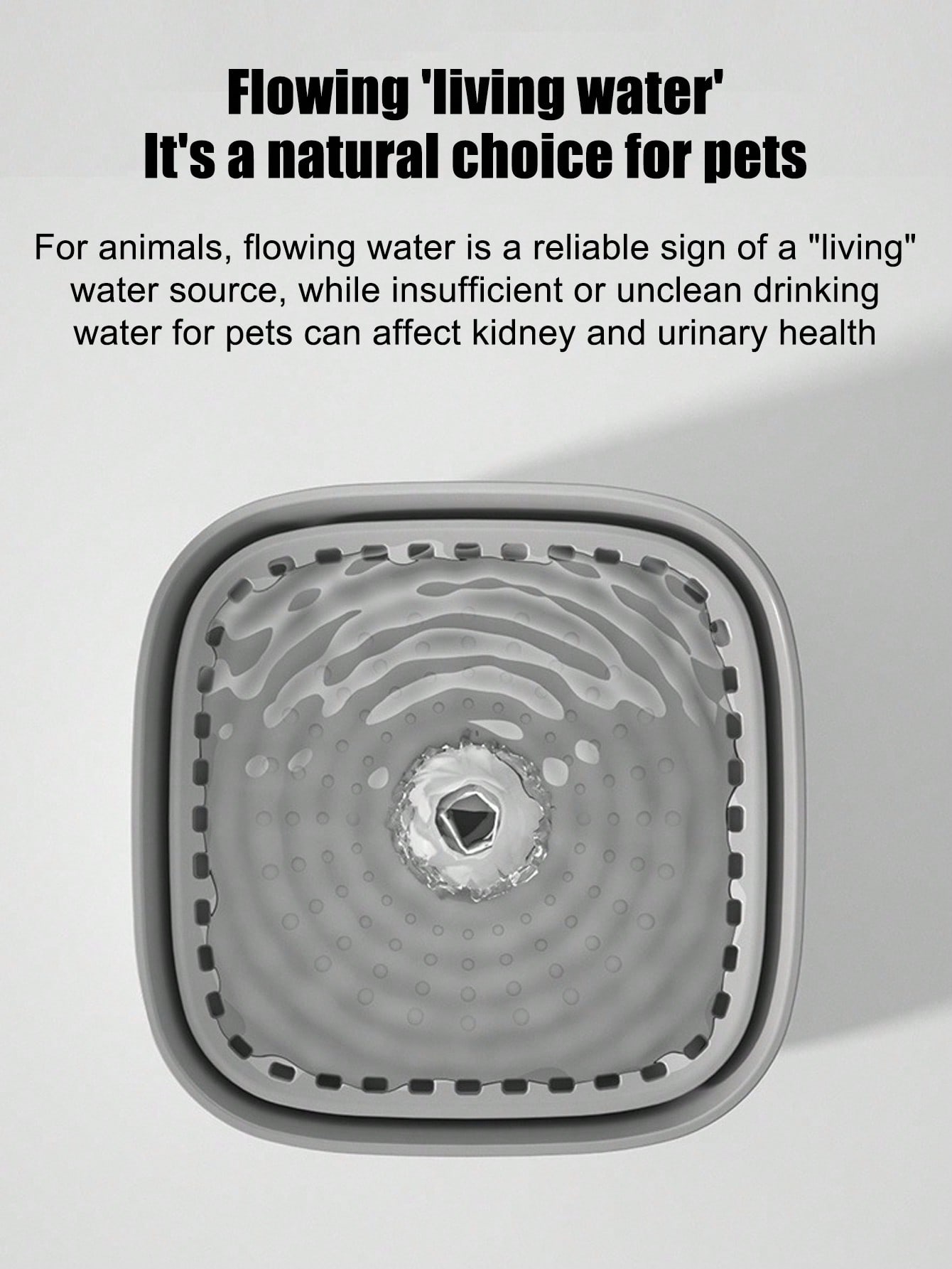 New Automatic Cat Water Founta - Pet Water Fountain review and price