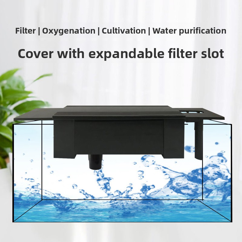 Covered Filter Box Aquarium To - Pet Supplies Is Food review and price