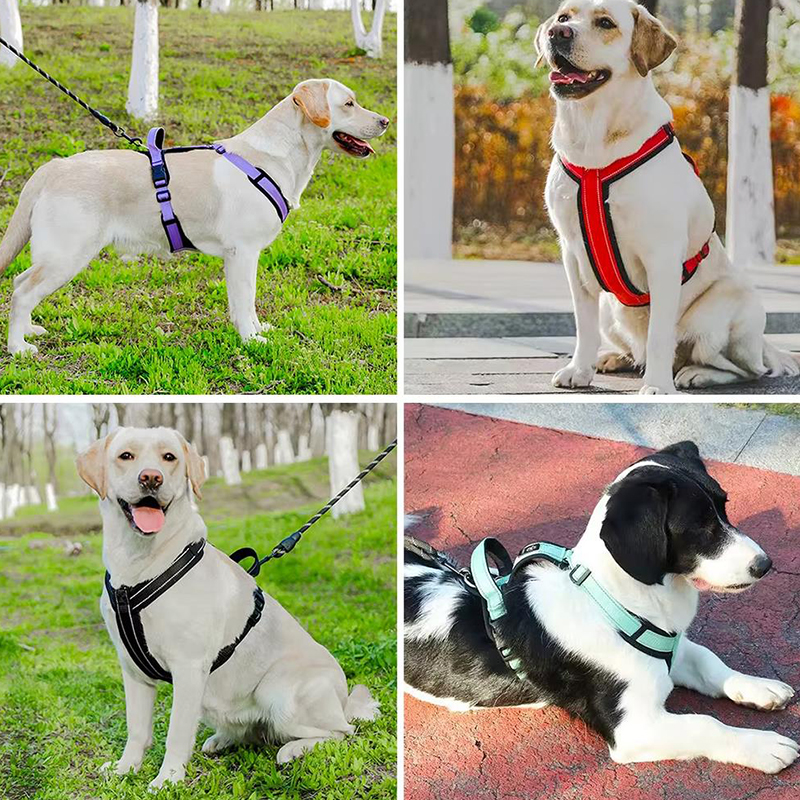 New Pet Dog Harness No-pull Do - No Pull Dog Harness review and price