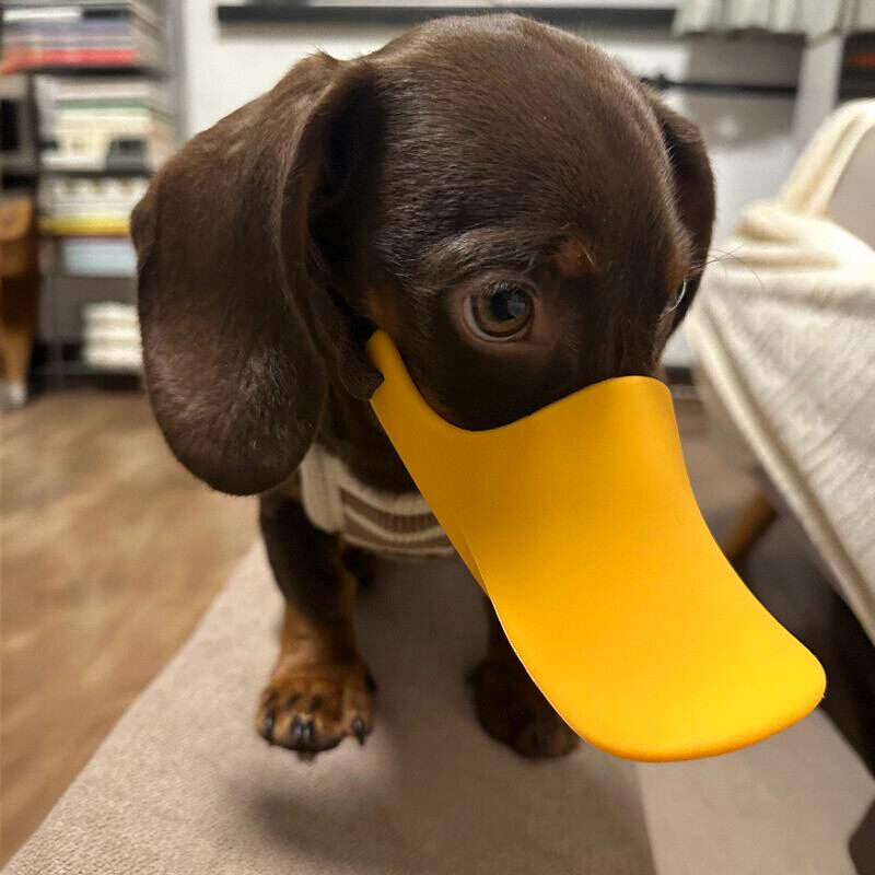 Dog Silicone Duck Muzzle For W - Dog Muzzle Silicone review and price