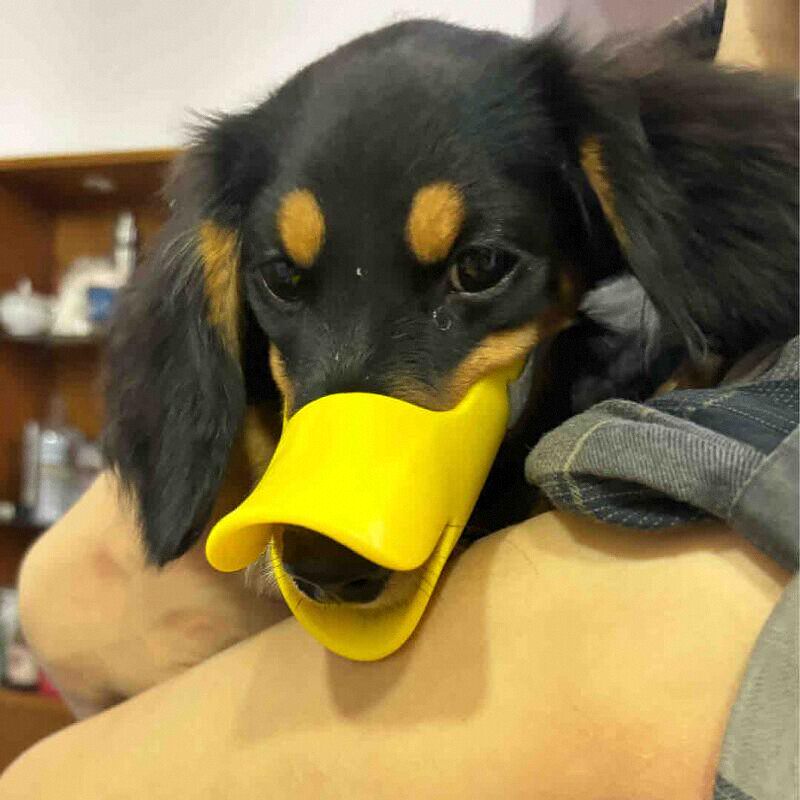 Dog Silicone Duck Muzzle For W - Dog Muzzle Silicone review and price