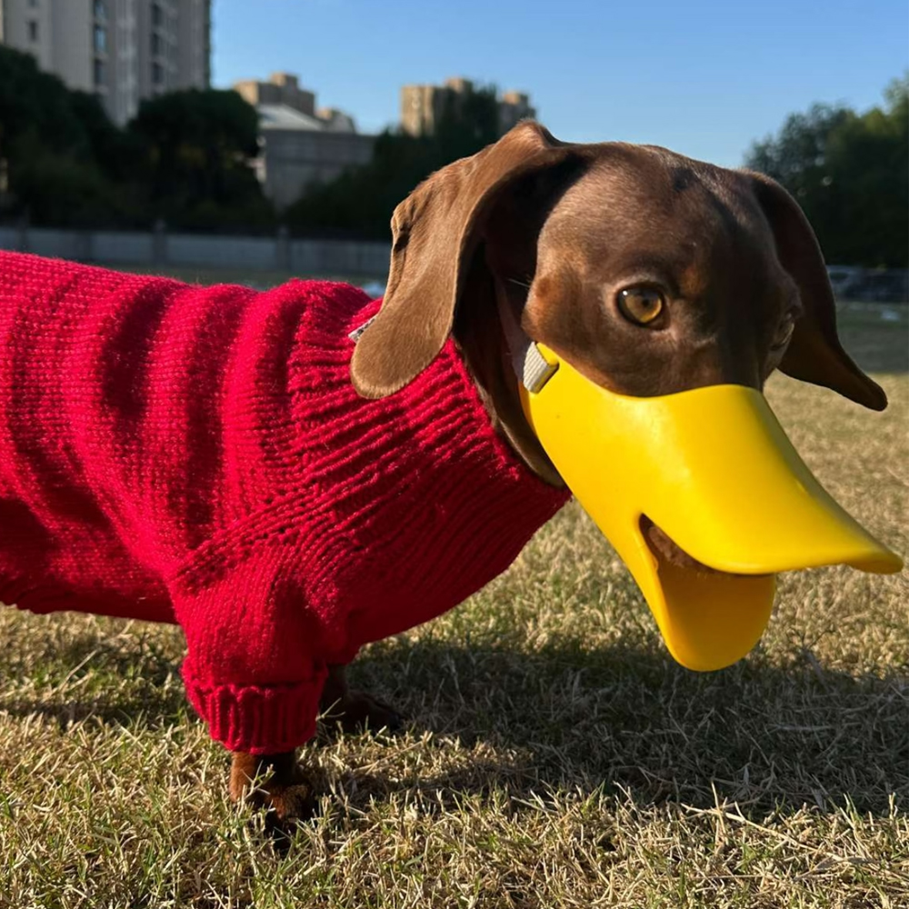 Dog Silicone Duck Muzzle For W - Dog Muzzle Silicone review and price