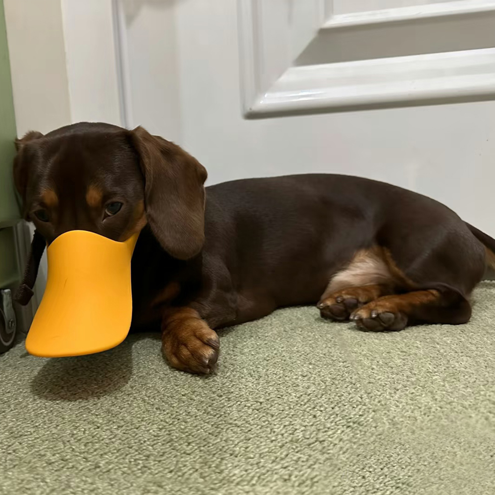 Dog Silicone Duck Muzzle For W - Dog Muzzle Silicone review and price