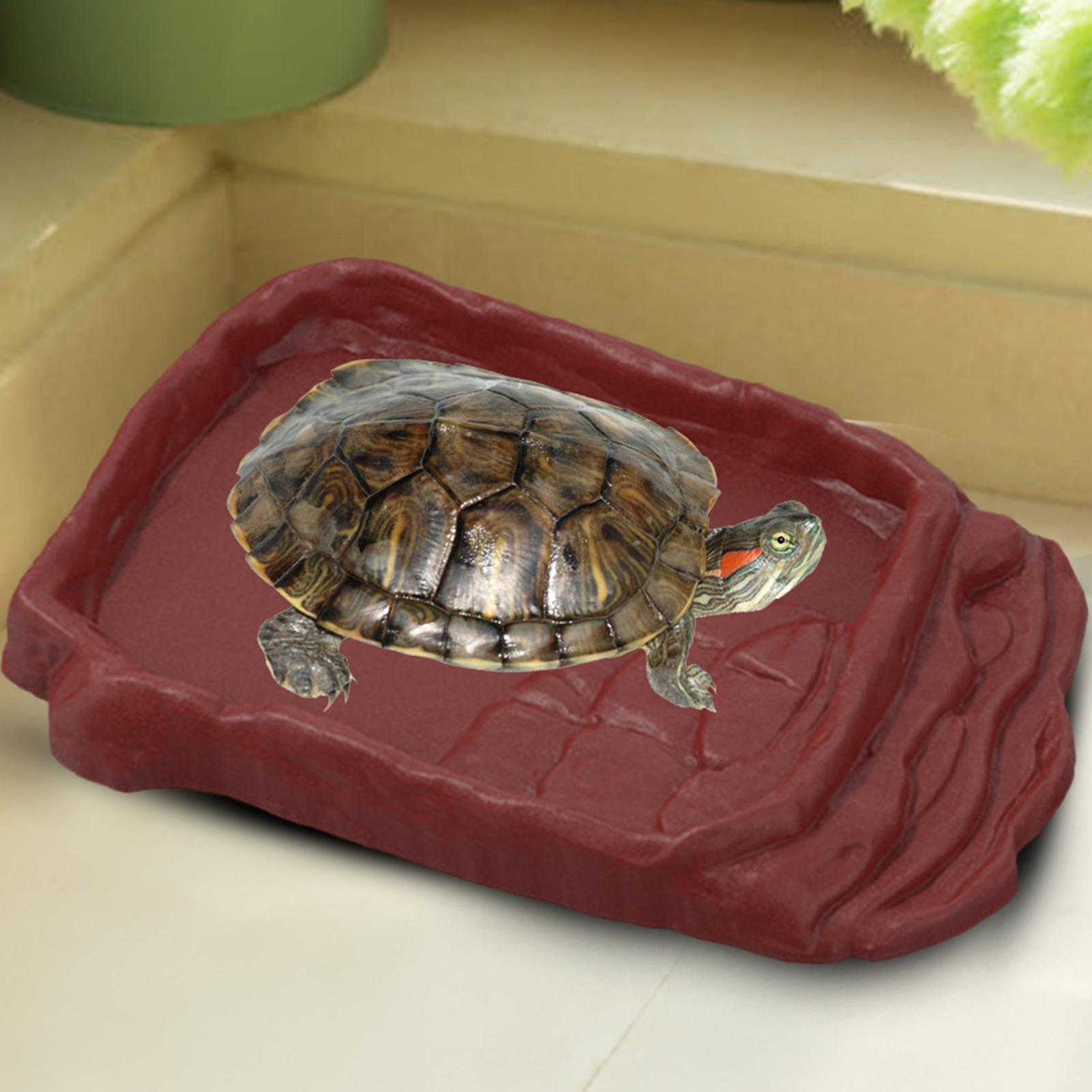 Turtle Water Dish With Anti-Sl - Pet Supplies Is Food review and price