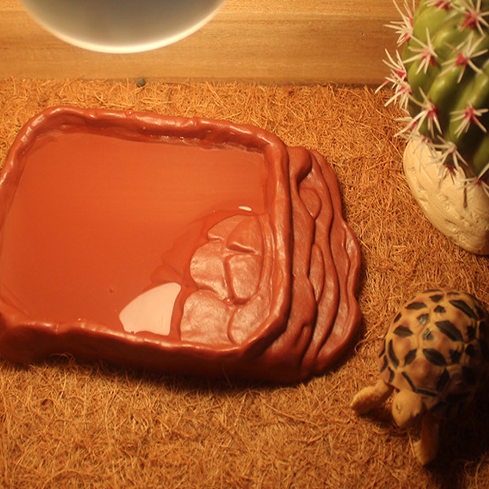 Turtle Water Dish With Anti-Sl - Pet Supplies Is Food review and price