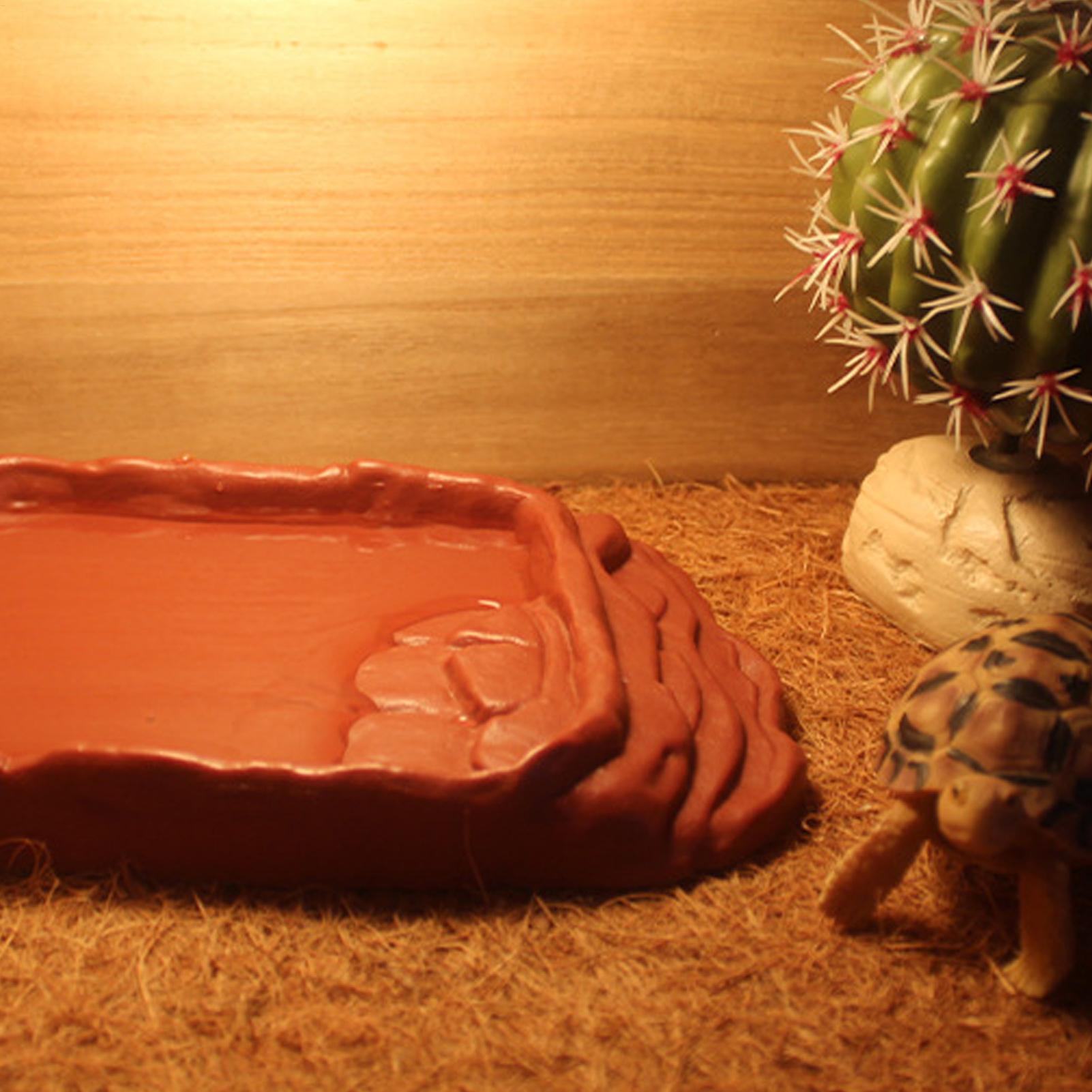 Turtle Water Dish With Anti-Sl - Pet Supplies Is Food review and price