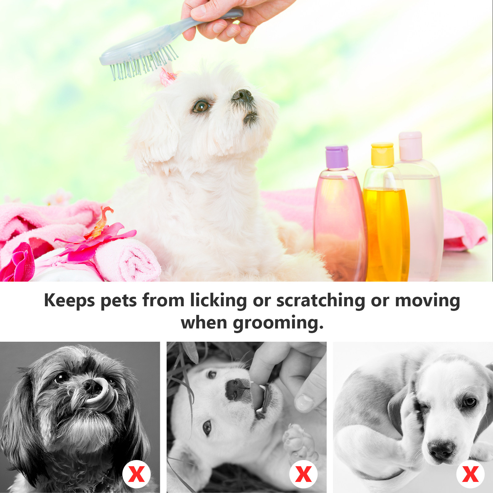 Pet Dog Beauty Hammock Pets Ha - Pet Supplies Pet Shop review and price
