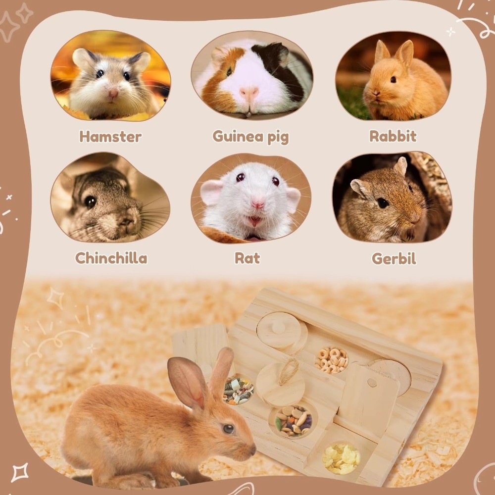 New Wooden Hamsters Foraging T - Pet Supplies Is Food review and price