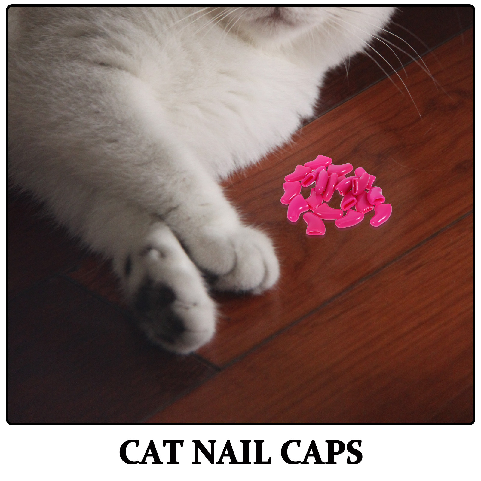 20Pcs Cat Nail Caps Comfortabl - Pet Supplies Pet Shop review and price