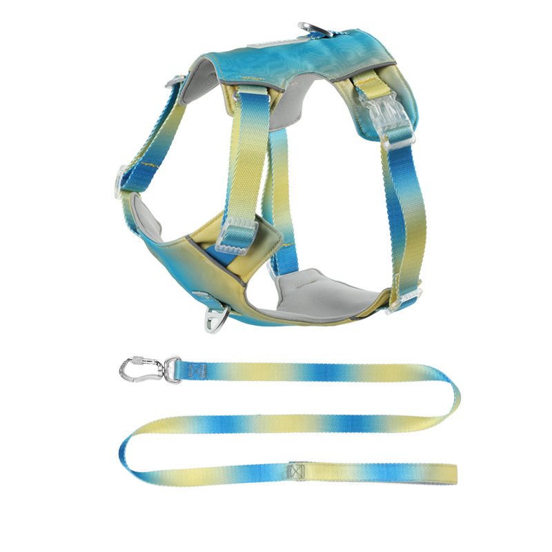 Gradient Color Dog Harness Ves - No Pull Dog Harness review and price