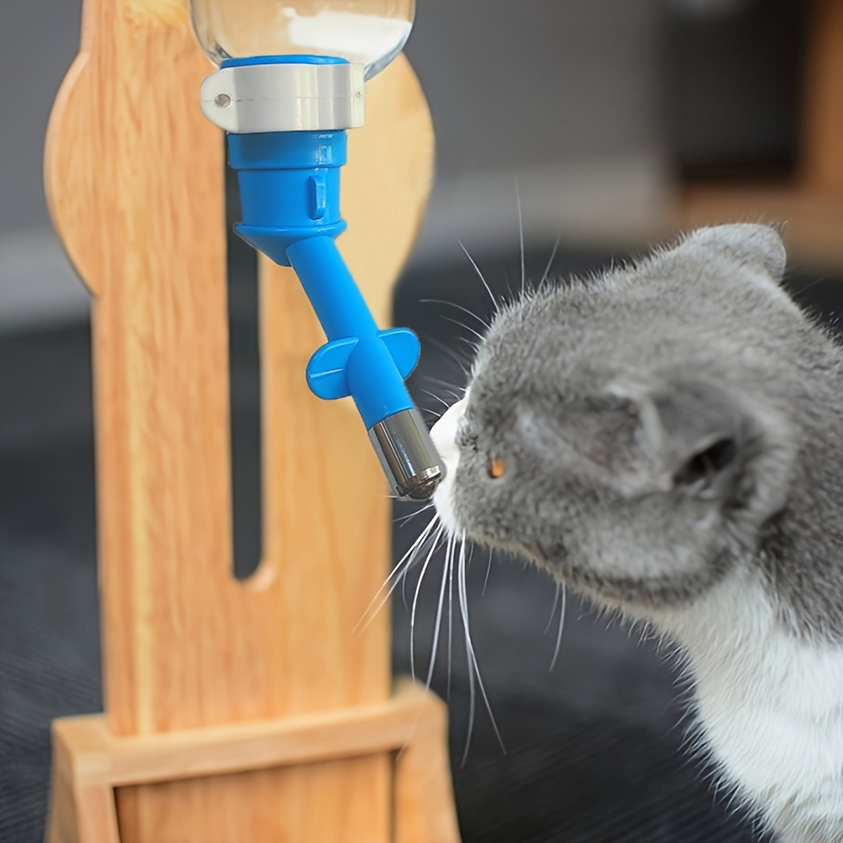 Ball-type Drinking Fountains P - Pet Water Fountain review and price