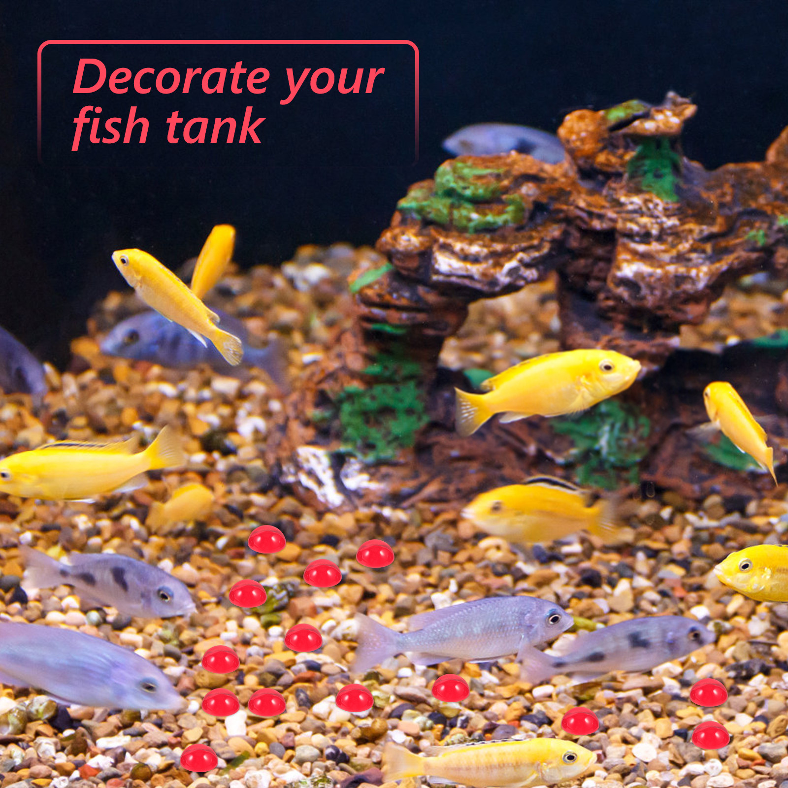 50Pcs Red Flat Bottom Glass Be - Aquarium Fish Tank review and price