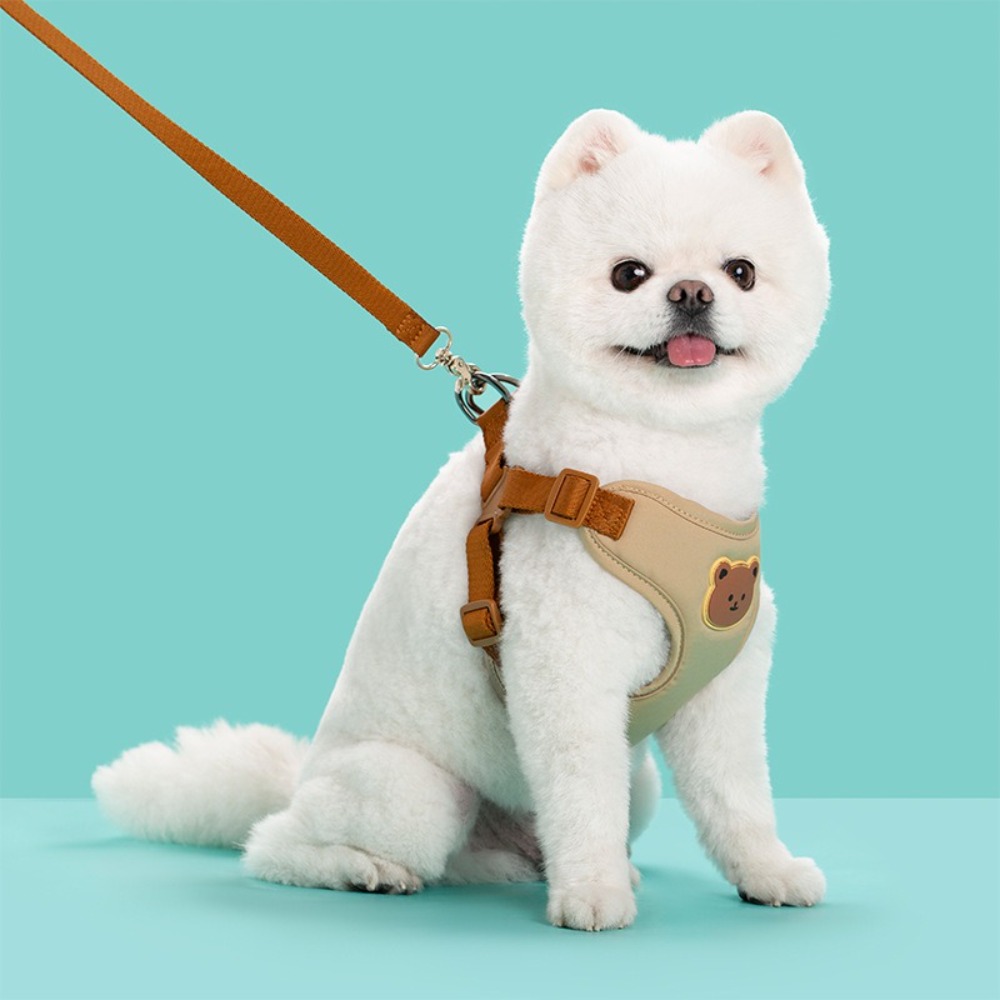 Creative Cute Pet Harness Leas - No Pull Dog Harness review and price