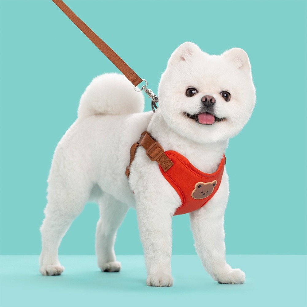 Creative Cute Pet Harness Leas - No Pull Dog Harness review and price