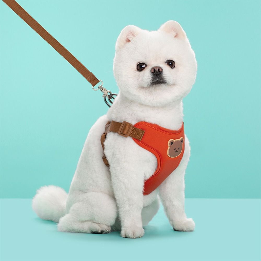 Creative Cute Pet Harness Leas - No Pull Dog Harness review and price