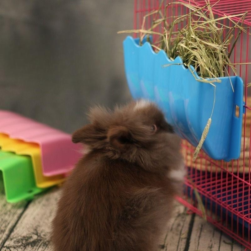 Rabbit Hay Feeder Hanging Guin - Pet Supplies Is Food review and price