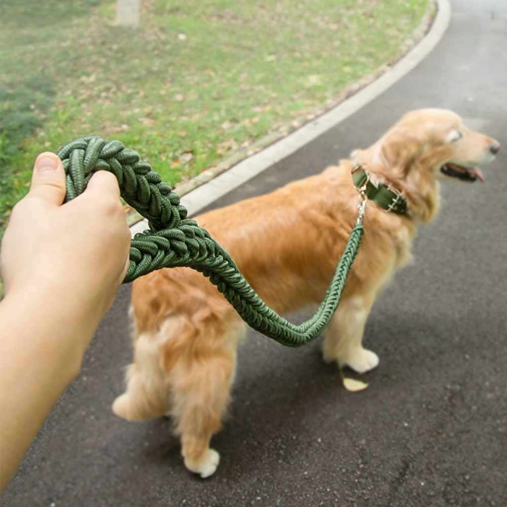 8-Strand Braided Heavy-Duty Do - No Pull Dog Harness review and price