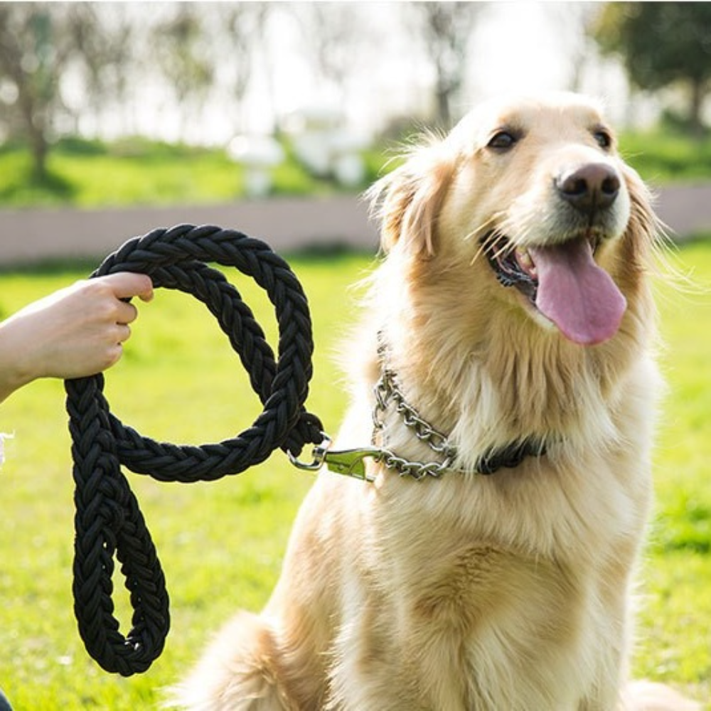 8-Strand Braided Heavy-Duty Do - No Pull Dog Harness review and price