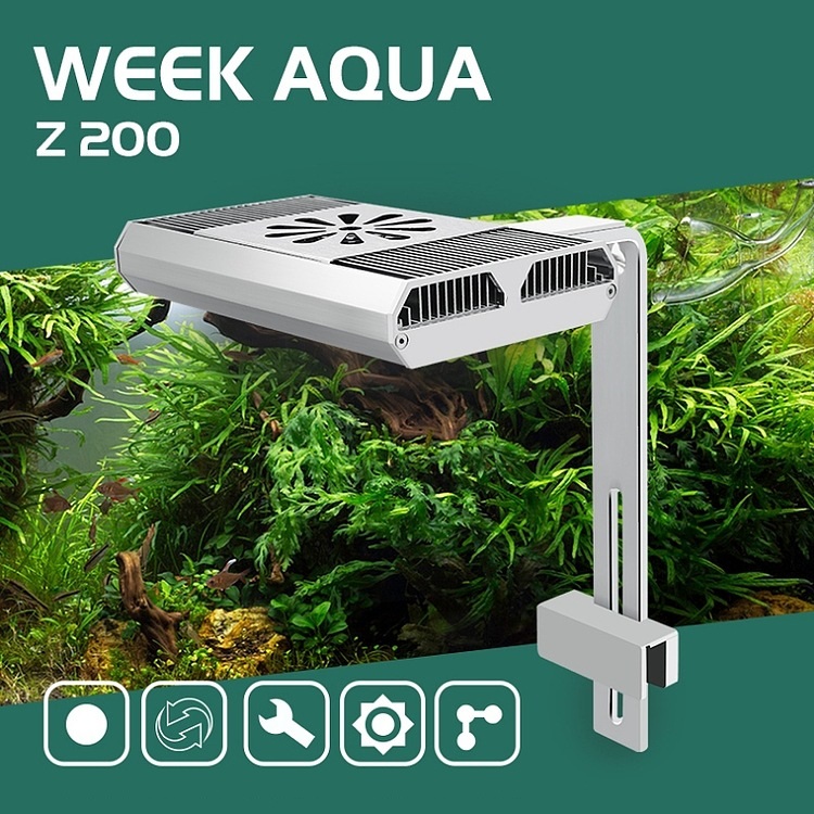 Full Spectrum Fish Tank Light  - Aquarium Fish Tank review and price