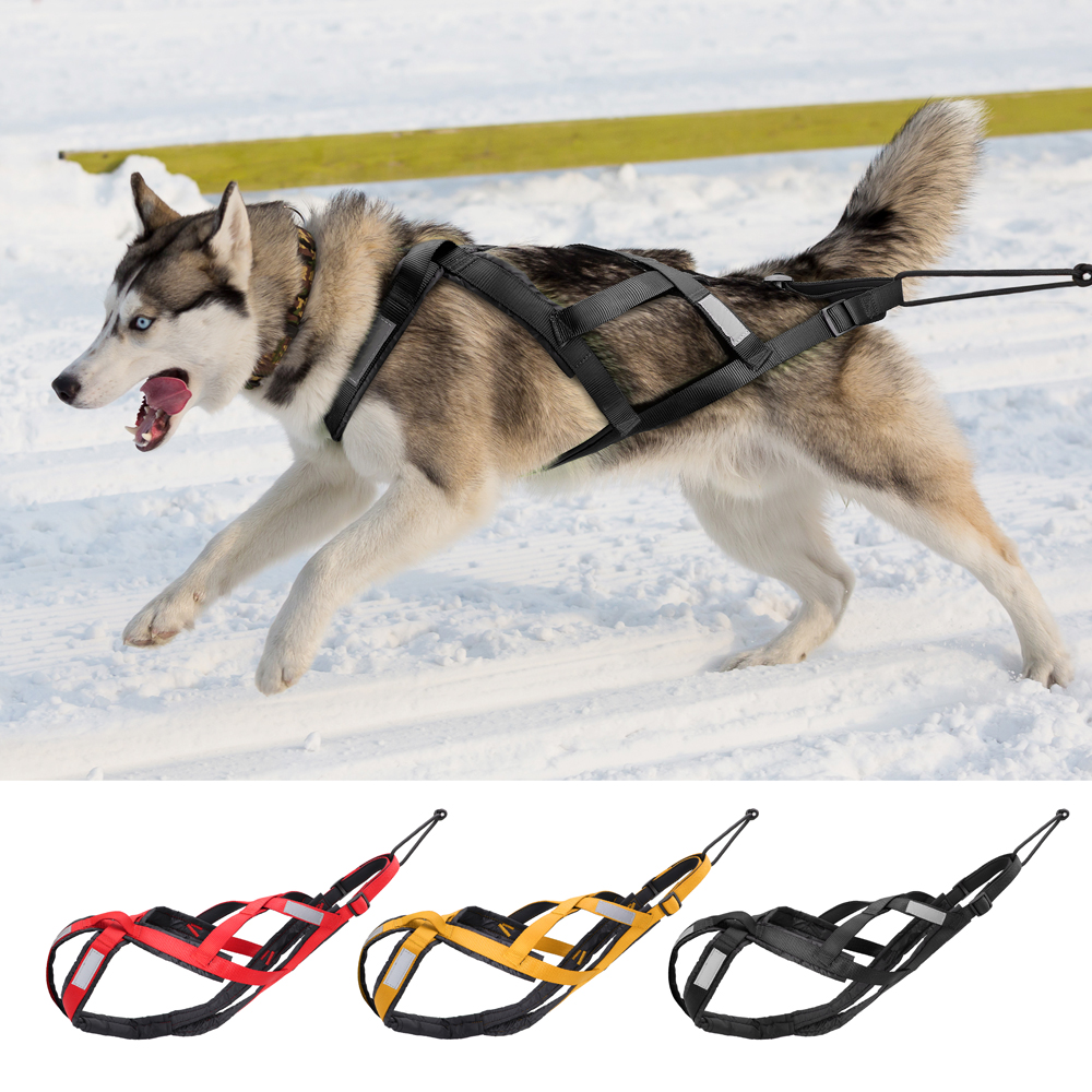 Waterproof Dog Sled Pulling Ha - No Pull Dog Harness review and price