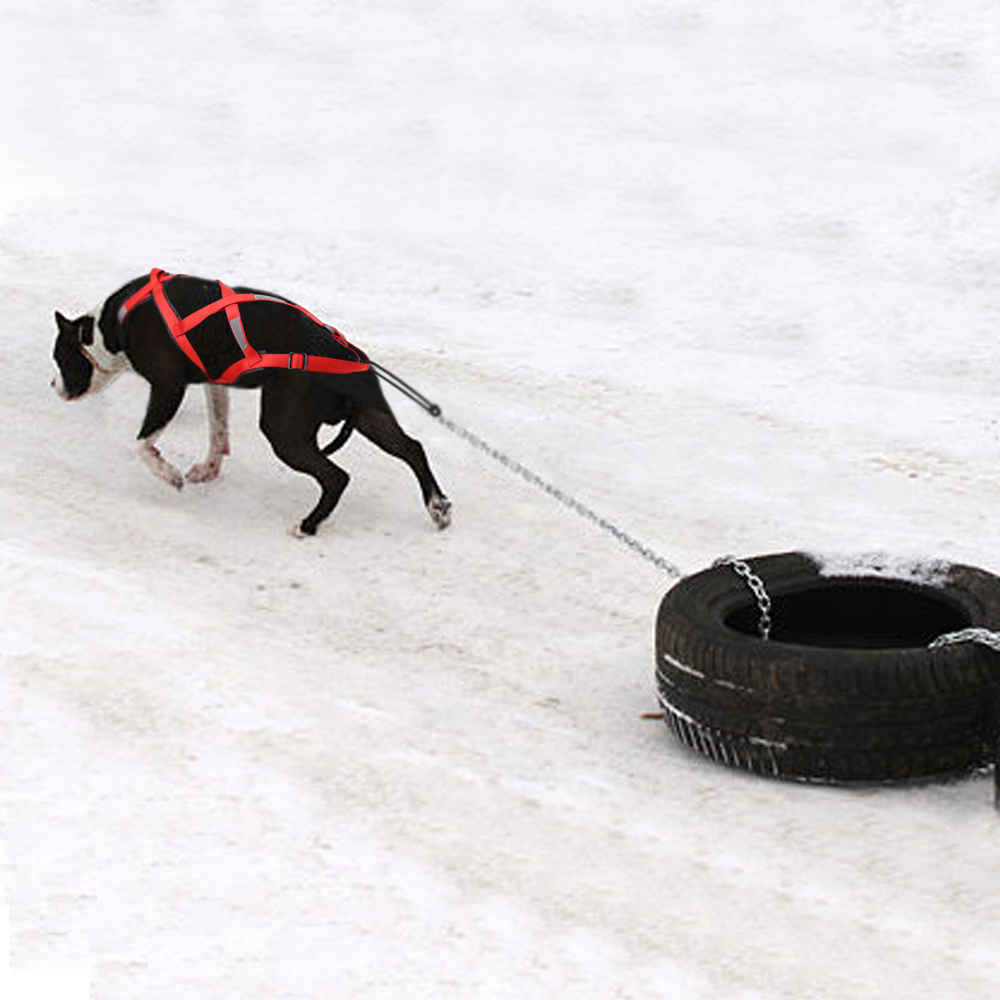 Waterproof Dog Sled Pulling Ha - No Pull Dog Harness review and price