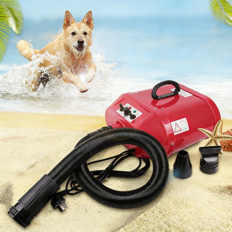 Double Motor Water Blower Pet  - Pet Supplies Pet Shop review and price