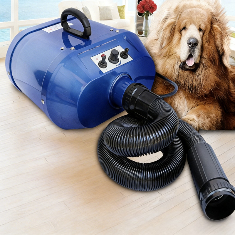 Double Motor Water Blower Pet  - Pet Supplies Pet Shop review and price