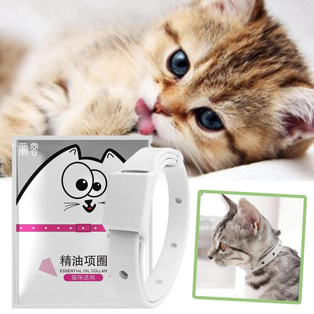Retractable Pet Products Flea  - Dog Muzzle Silicone review and price