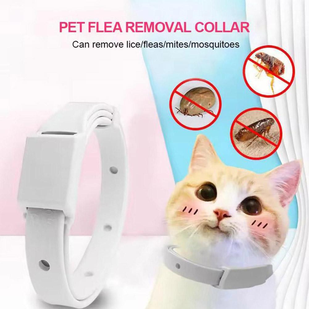 Retractable Pet Products Flea  - Dog Muzzle Silicone review and price