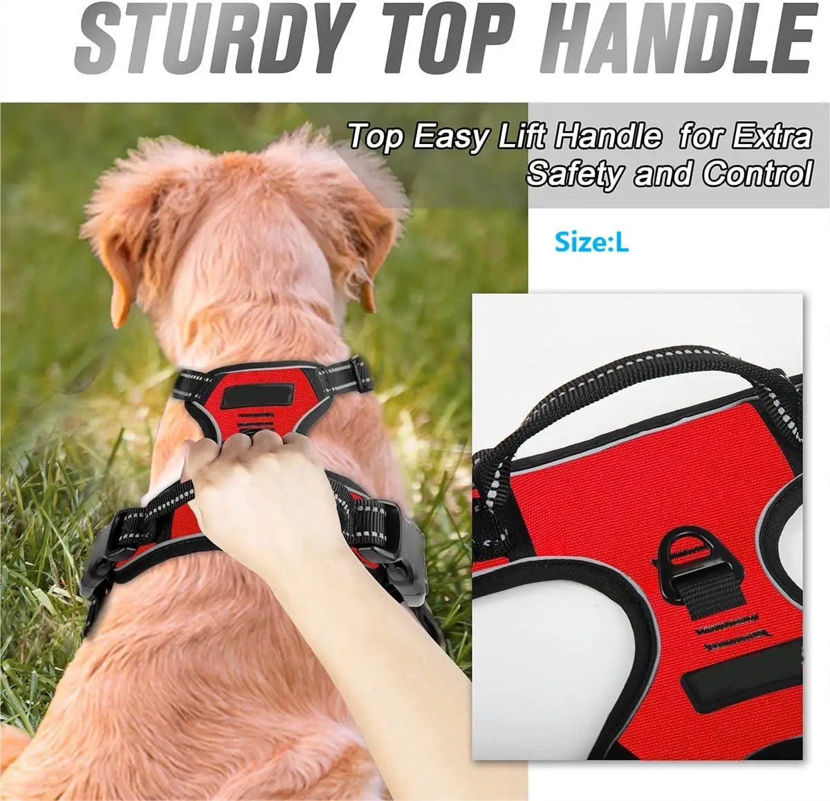 Dog Collar, Harness, Large Ves - Pet Supplies Pet Shop review and price
