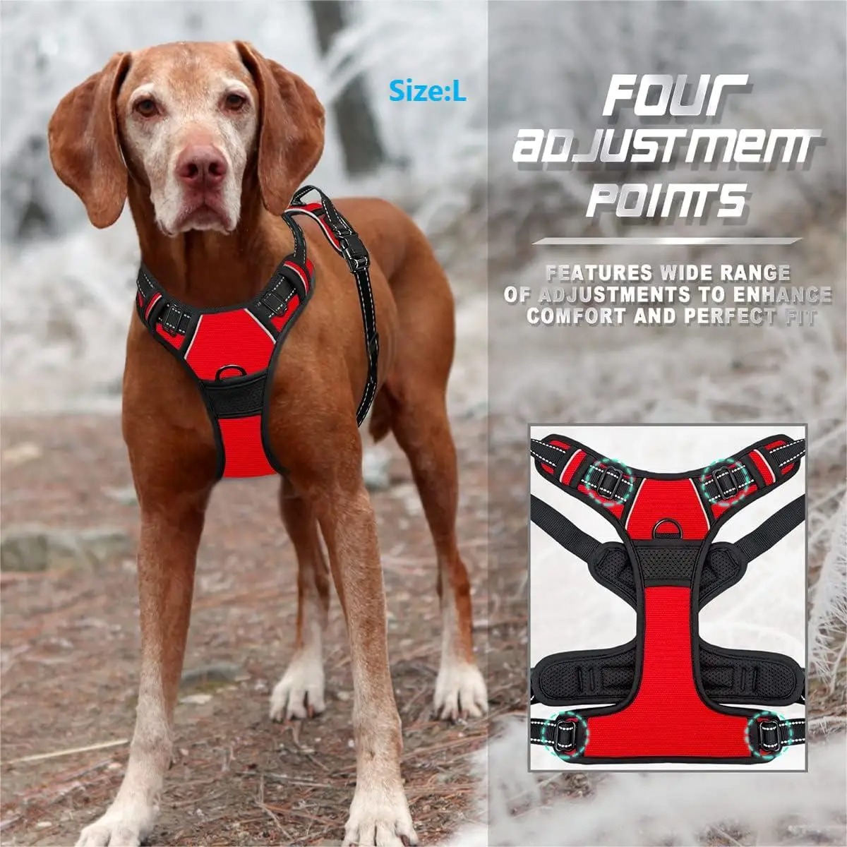 Dog Collar, Harness, Large Ves - Pet Supplies Pet Shop review and price