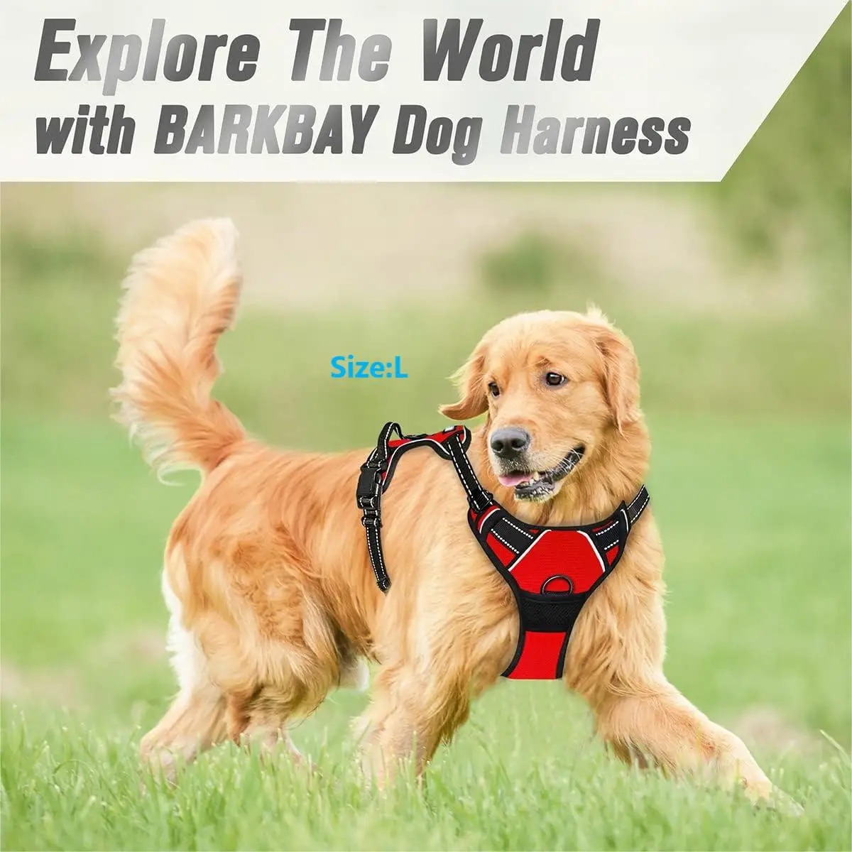 Dog Collar, Harness, Large Ves - Pet Supplies Pet Shop review and price