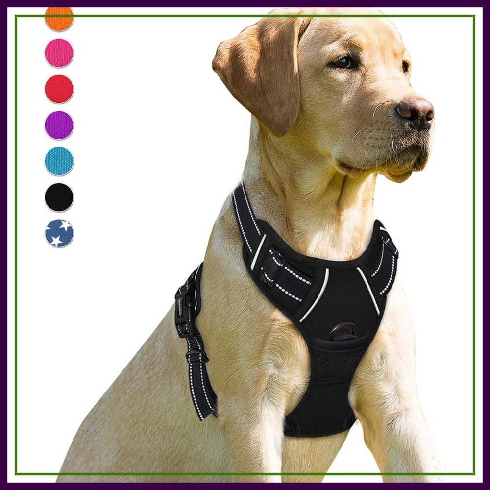 No Pull Dog Harness Front Clip - No Pull Dog Harness review and price