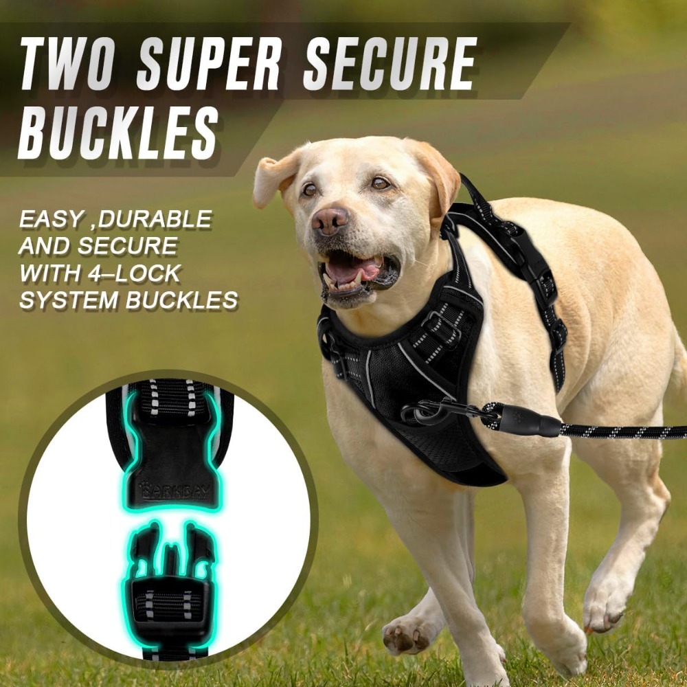 No Pull Dog Harness Front Clip - No Pull Dog Harness review and price