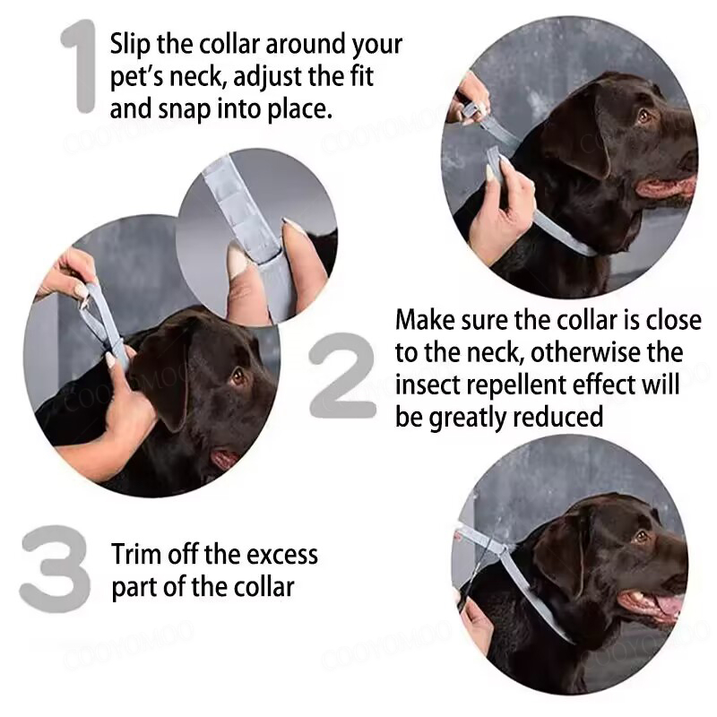 Dog Collars Puppy Dog Cats 72c - Dog Muzzle Silicone review and price